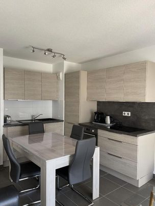 Appartement meublé Saint Aunes 2 pièce(s) 42 m2 - Photo 1