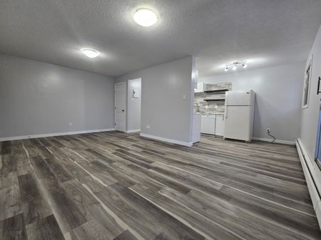 AMAZING FULLY RENO'D Apartment in Lacombe! CATS OK! - Photo 2