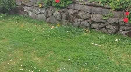 UNDER OFFER Haruru Studio/ Bedsit with Garden - Photo 4