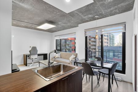 1085 Rue Smith, app.902, H3C 0L9, H3C 0L9, Montréal - Photo 3