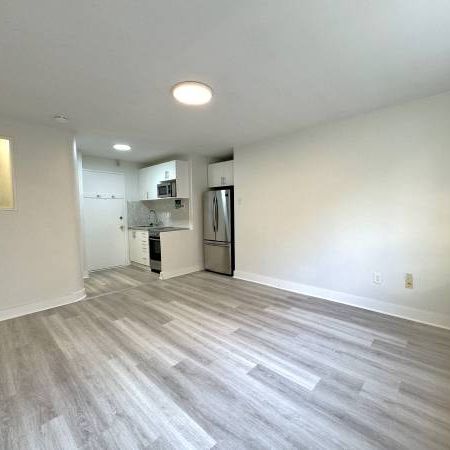 140 SPRINGHURST AVE. #14 - NEWLY RENO'D STUDIO/1BATH, MINUTES TO TTC - Photo 1