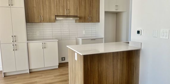 3 1/2 Immeuble Luxueux Avec Ascenseur - Photo 2