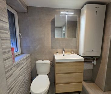 Location Appartement 3 pièces 50m² DANNEMARIE 68210 - Photo 1