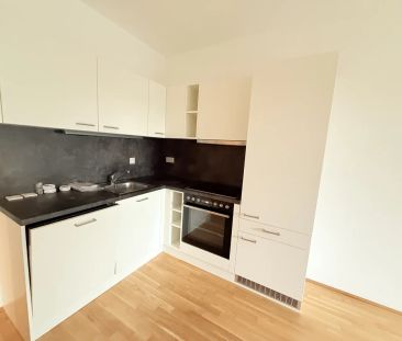 Theo's Willkommen im Park! Helle 2-Zimmer Wohnung in absoluter Ruhe... - Photo 5