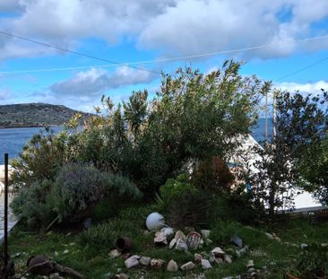 Ενοικίαση κατοικίας, 40 τ.μ., Βένιο Δασκαλειό, 550 € - Photo 6