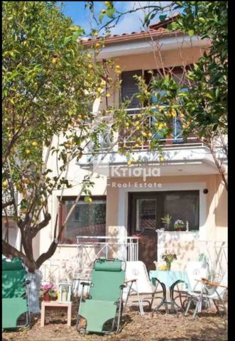 Μεζονέτα για ενοικίαση Πλάτανος (Αρχαία Ολυμπία) - Photo 4
