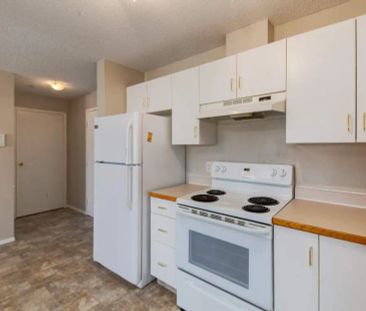 - Bachelor at Amberwynd Apartments - Photo 5