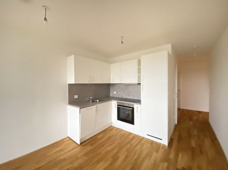 ERSTBEZUG Top Wohnung U3 2 Zimmer + Loggia - 1 bedroom apartment + loggia U3 + TG Parkplatz - Photo 5