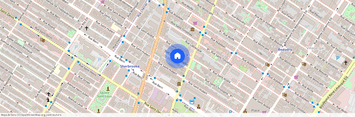 2051 Rue Saint-Christophe, Ville-Marie, Ville-Marie, Ile de Montréal, H2L 1N8