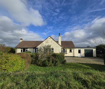 Two bed detached bungalow to rent in Lewannick, Cornwall, PL15 - Photo 6