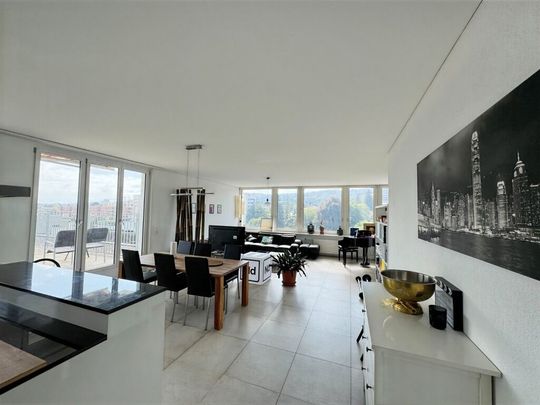 SHARED ROOM IN A MODERN APARTMENT WITH A LARGE TERRACE CENTRALLY LOCATED IN ZÜRICH TEMPORARY 2 YEARS - Photo 1