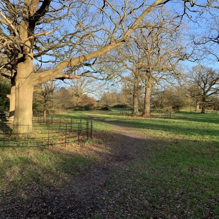 1 Bed Flat, Wensleydale, LU2 - Photo 1