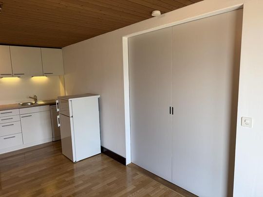 Charmante 2.Zimmer-Wohnung mit herrlicher Aussicht auf See und Berge - Photo 1