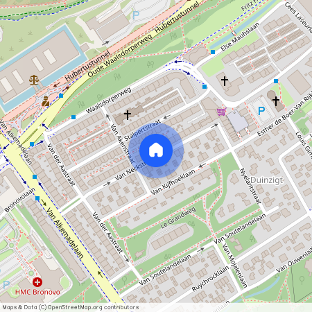 Duinzigt, 2597 SH, Van Neckstraat, Den Haag