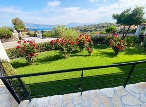 Διαμέρισμα για ενοικίαση - Πάτρα, - Φωτογραφία 5