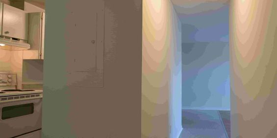 1 CH - 1 SDB - Gatineau - $1,445 /mo - Photo 3