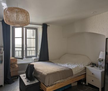 Location Appartement 1 pièce 20m² RIOM 63200 - Photo 3
