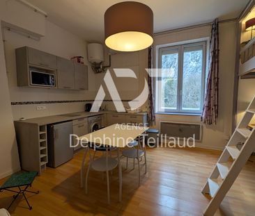 Location Appartement 1 pièce 25m² GRENOBLE 38000 - Photo 5