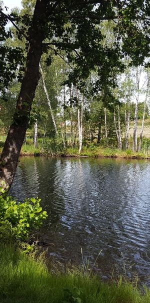 Dillvägen, Hjärnarp - Photo 1