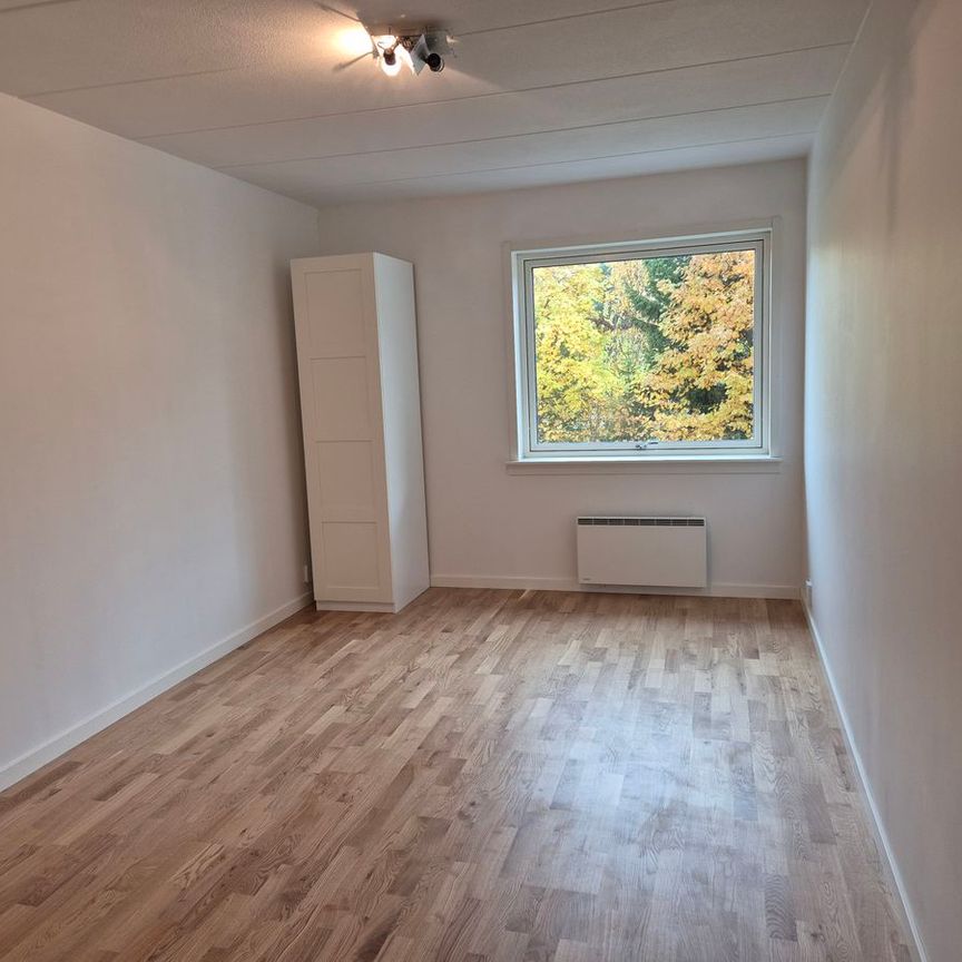 Frostgränd, Skellefteå - Foto 1