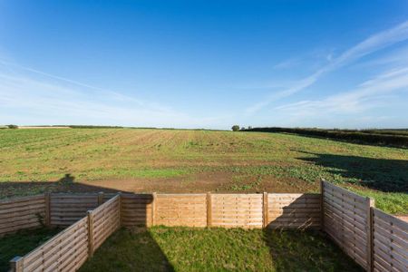 4 bedroom semi-detached house to rent - Photo 2