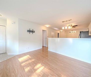 For Lease - 70 St Clair Avenue Unit# Main, Kitchener, Ontario - Photo 3