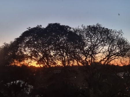 Croydon Park - Photo 5