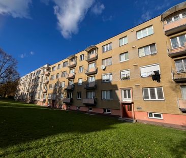 Pronájem bytu 2+1 53 m² - Photo 4