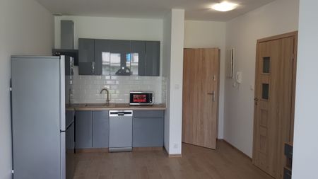 Nowy Świat, 2-pokojowe, 31m2, Parter - Photo 3