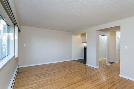 The Laurels Apartments - 1 Bedroom - Photo 2