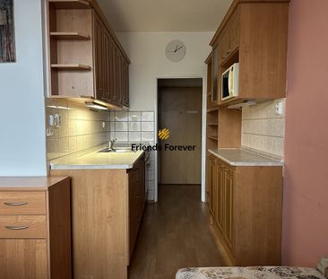 Pronájem bytu 1+1 41 m² - Photo 4