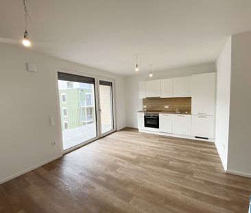 Ihr Traum vom Wohnen wird wahr: Mietwohnungen im Tullnerfeld - Photo 4