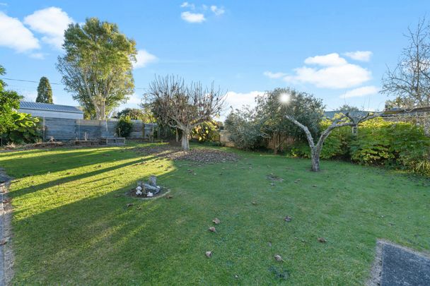 Sunny Family Living with Space, Views & a Huge Backyard! - Photo 1