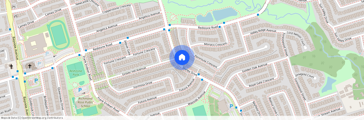 195 Shirley Dr, Richmond Hill