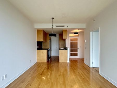 250 Chemin de la Pointe Sud, #2206 - Photo 5