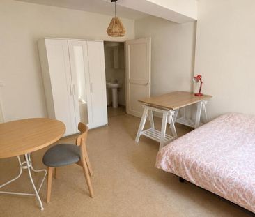 Location Appartement 1 pièce 27m² ORLEANS 45000 - Photo 2