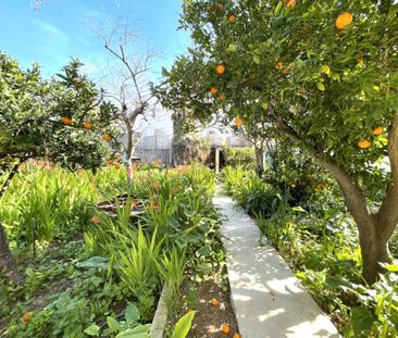 Casa o chalet de alquiler en Carrer San Francisco de Sales, L'Olivera - Photo 6