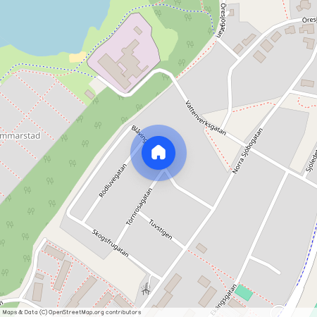 Blåvingegatan, Borås