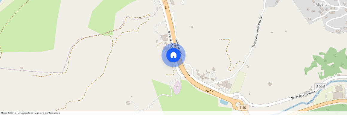 20129, Bastelicaccia