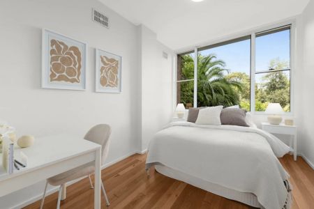 Peaceful, Leafy Apartment in Prime Neutral Bay Location - Photo 2