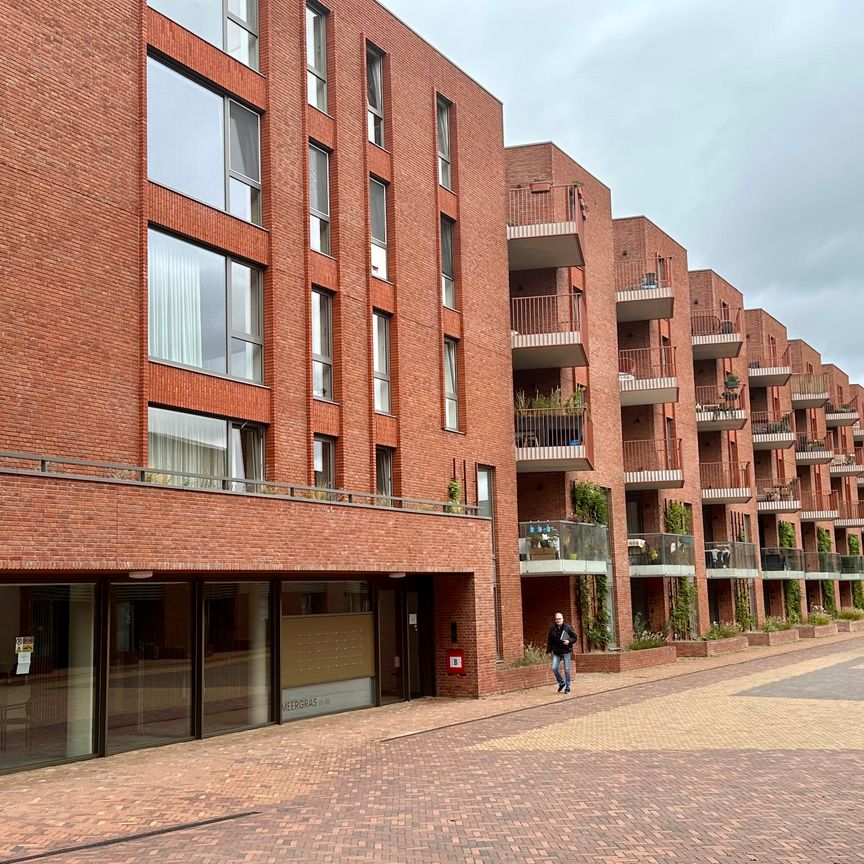 Te huur: Appartement Meergras 81 in Eindhoven - Photo 1