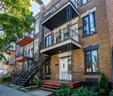 Plateau Mont-Royal - Grand appartement 3 ½ - Photo 3