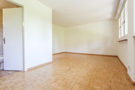 1-Zimmer-Wohnung mit Sitzplatz! - Photo 3
