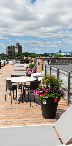 175 St-Vallier Est – Le Gecko - Photo 1