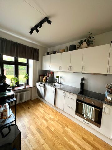 Karmelitergatan, Landskrona - Foto 5