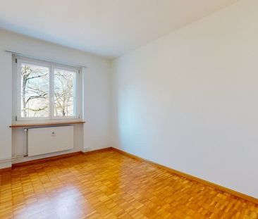 3 Zimmer, 63 m², EG - Photo 1