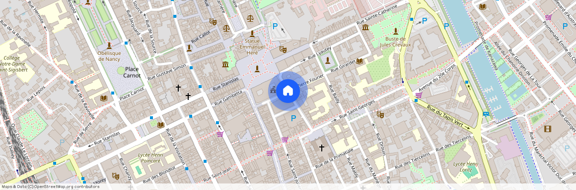 8 RUE PIERRE FOURIER, Charles Iii Nord Tiercelins St-Georges, Nancy