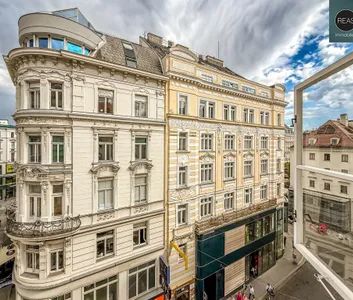Provisionsfrei: Großzügige Stadtwohnung in absoluter Bestlage nahe Stephansplatz! - Foto 3