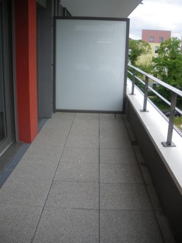 T4 – Parc de la Robiquette - Photo 4