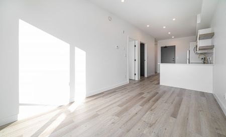 Carolina: Gold Accents – 196 Colony, Winnipeg, MB - Photo 3